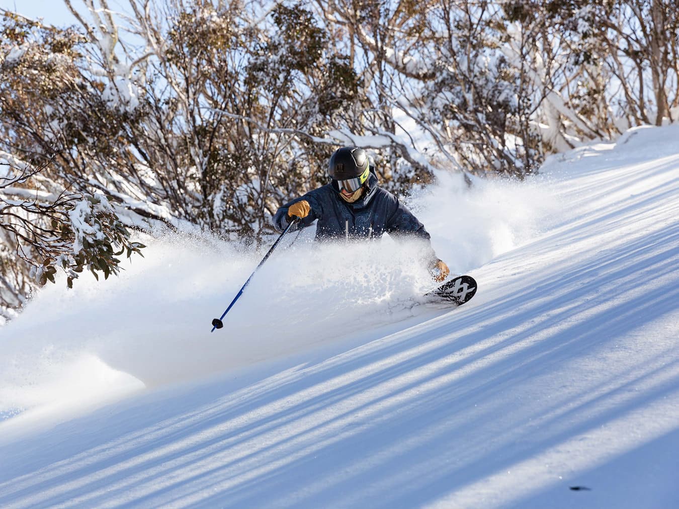 Skiing